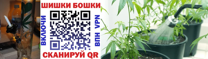 Купить закладку Сыктывкар MDMA Меф мяу мяу Галлюциногенные грибы