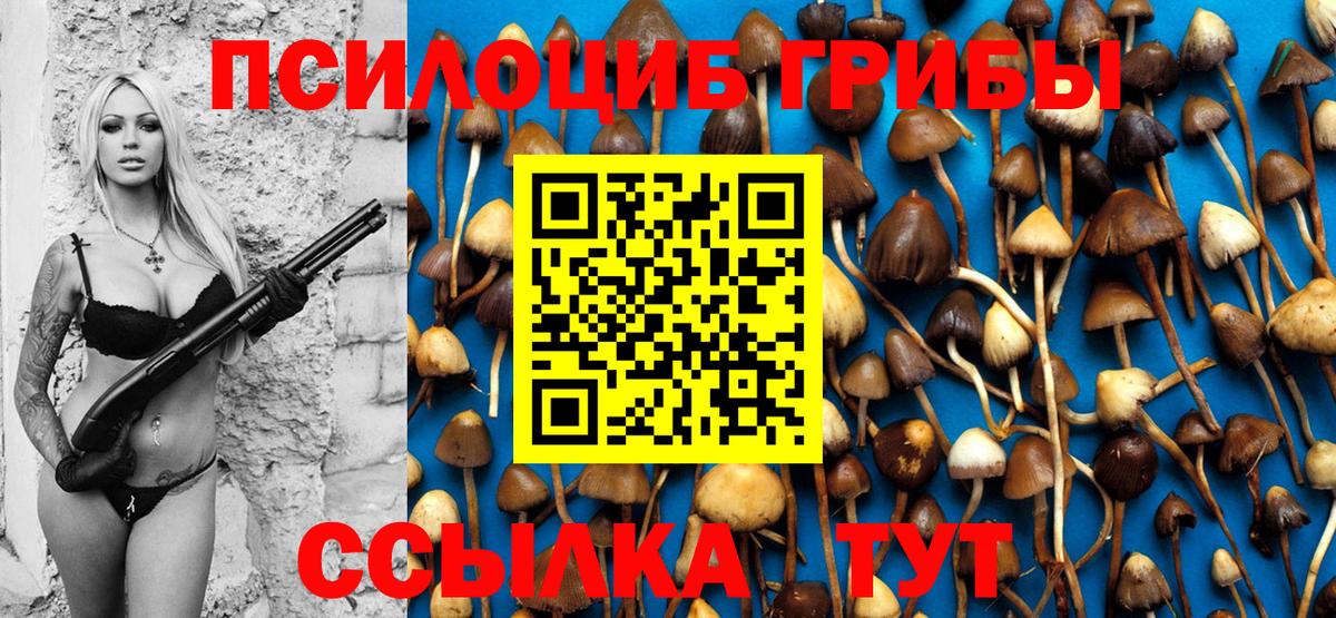 Галлюциногенные грибы ЛСД Сыктывкар