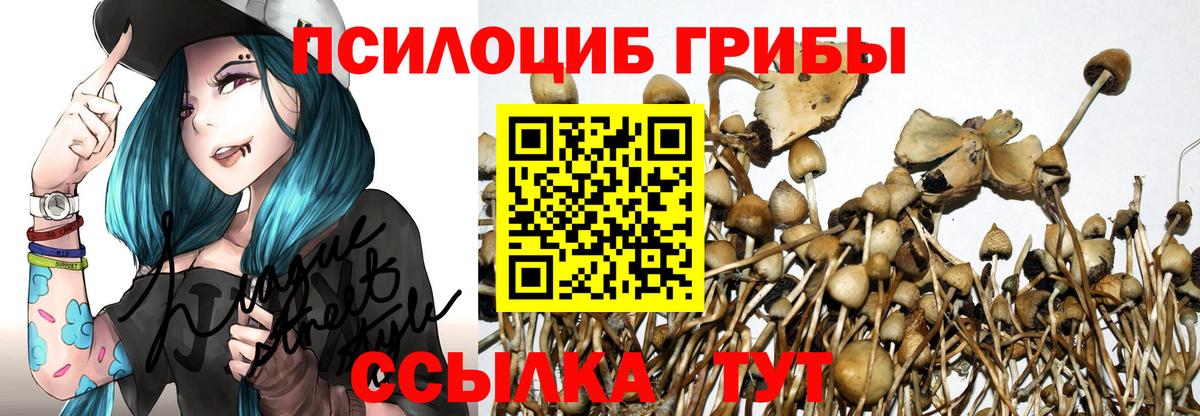 Галлюциногенные грибы Psilocybe  Галлюциногенные грибы Psilocybe  Вход с VPN  Сыктывкар 